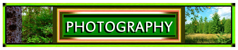 Photography