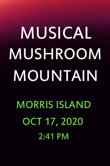 'Musical Mushroom Mountain' by Jonny Olsen